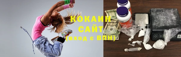 гидра Абаза