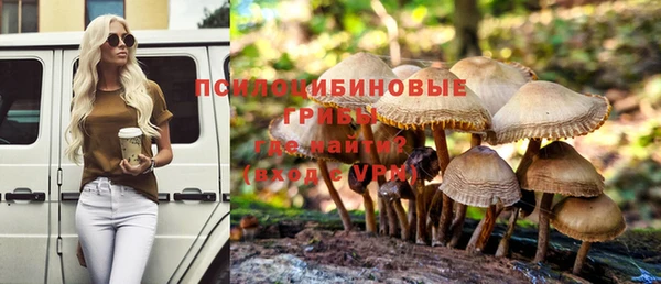 гидра Абаза
