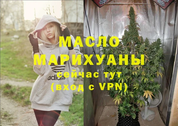 гидра Абаза