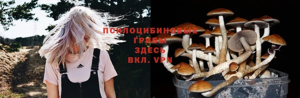 гидра Абаза